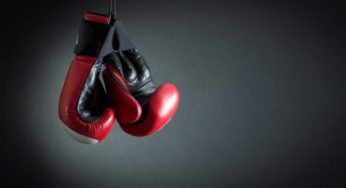 Український чемпіон світу виграв бій швидким нокаутом
